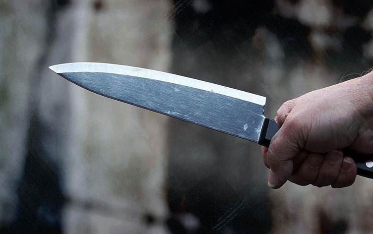 Li Amedê malbat pev çûn: Kesek bi kêrê hat kuştin