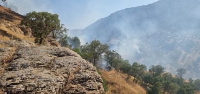 Dije Terora Kurdistanê derbarê bombebarana qezaya Mawetê de zanyarî belav kirin