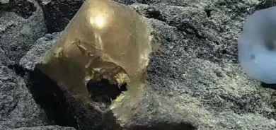 جسم ذهبي غريب في قاع المحيط الهادئ يثير فضول العلماء