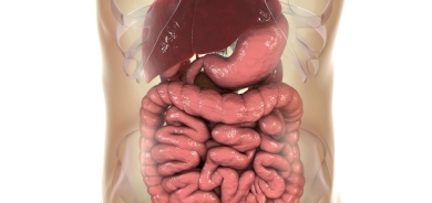 طبيب ينبّه: حرقة المعدة المستمرة قد تشير للإصابة بالسرطان