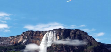 تاڤگەی شێوە كلكی ئەسپ