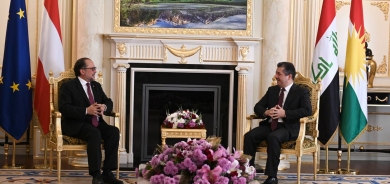 Mesrûr Barzanî bi Wezîrê Derve yê Awusturyayê re civiya