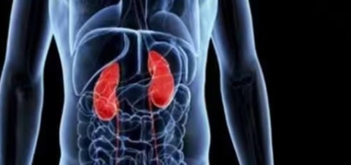 تعرّف على الأعراض الأولية لحصوات الكلى