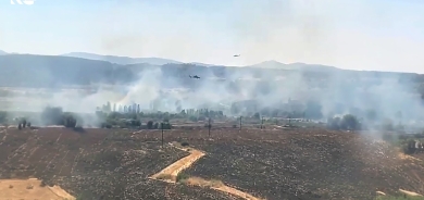 Li Diyarbekirê 4 çekdarên PKKê hatin kuştin