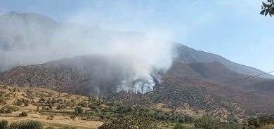 DIHOK - Di navbera PKK û leşkerên Tirkiyeyê de şer û pevçûn