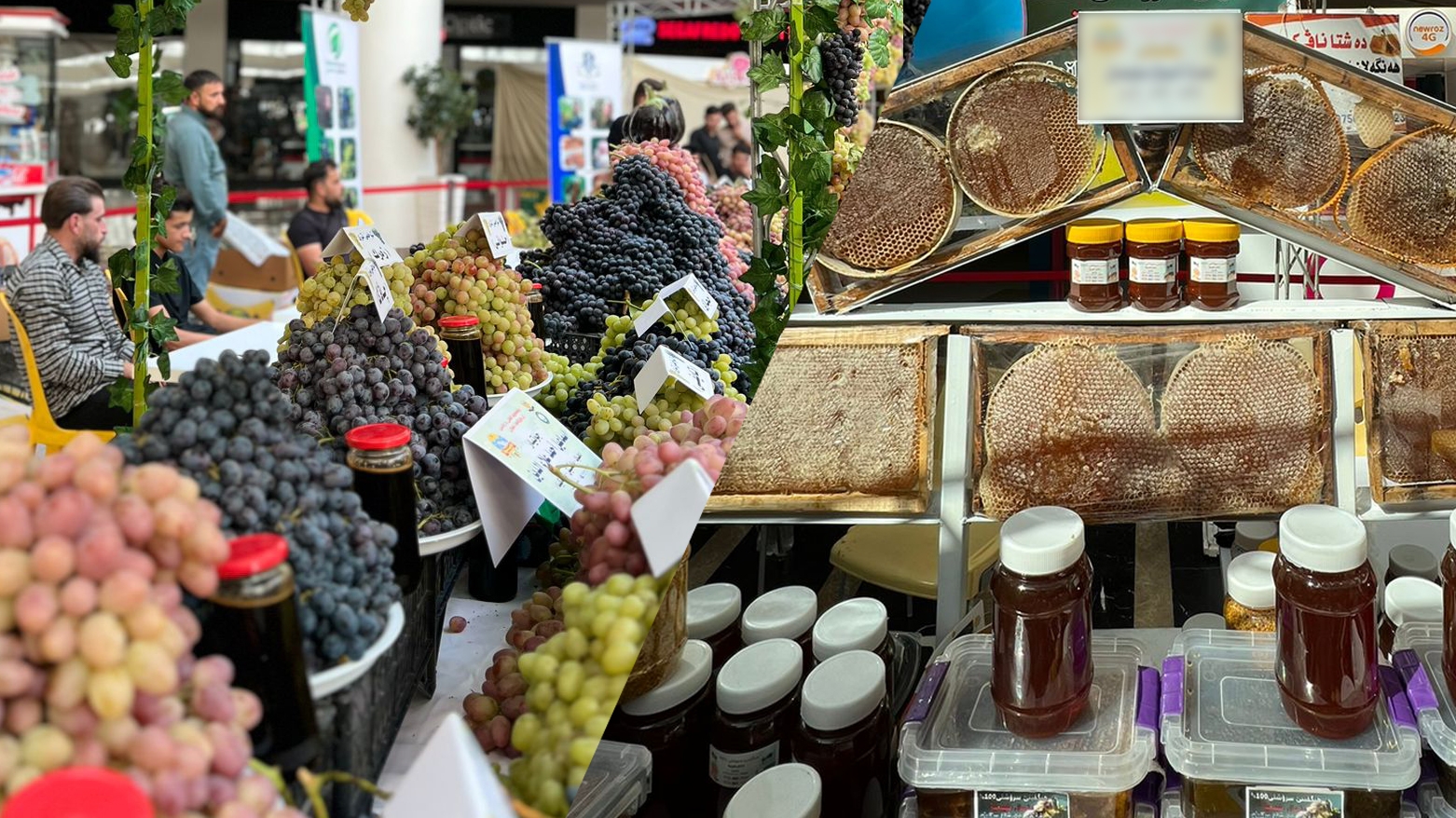 16. Festîvala Tirî û Hinguv li Duhokê dest pê kir; “Hinguv û sêvên Kurdistanê tên hinardekirin”