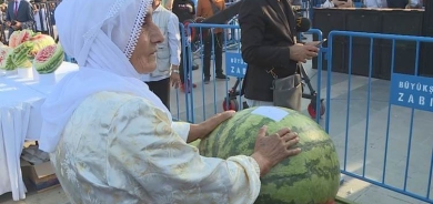 Amed: 13emîn Festîvala Zebeşan dê were lidarxistin