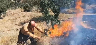 احتراق آلاف الدونمات من غابات دهوك جراء النزاع التركي مع 