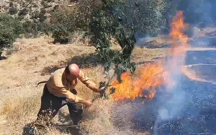 احتراق آلاف الدونمات من غابات دهوك جراء النزاع التركي مع 