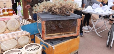 Li Agiriyê festîvala hingiv tê lidarxistin