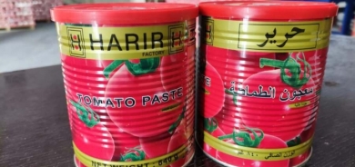 أربيل تصدر معجون الطماطم إلى الولايات المتحدة