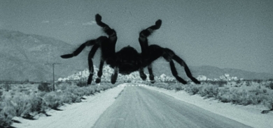 الجمهور يحشد لسينما الرعب التي لا تنتهي