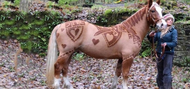 سەرتاشی ئاژەڵان