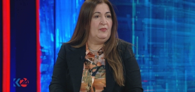 Viyan Sebrî: PDK li ser sereraskirina yasaya bûdceyê rijd e