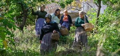 WAN - Kooperatîfa Ahtamarayê ji jinan re bûye çavkaniya dahatê