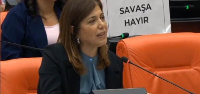 Meral Daniş Beştaş: Çîmentoya dîwarên Îsraîl li Xezeyê çêdike ji Tirkiyeyê diçe