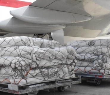 پاکستان دەیان تەن هاوکاری مرۆیی بۆ غەززە ناردووە