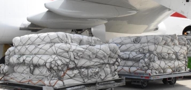 پاکستان دەیان تەن هاوکاری مرۆیی بۆ غەززە ناردووە