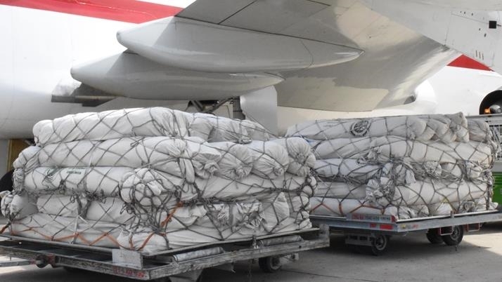 پاکستان دەیان تەن هاوکاری مرۆیی بۆ غەززە ناردووە