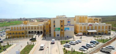 MÊRDÎN - Zava ji aliyê malxezûranê xwe ve hat kuştin