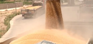 وصول كافة المُستحقات المالية لفلاحي كوردستان إلى الإقليم