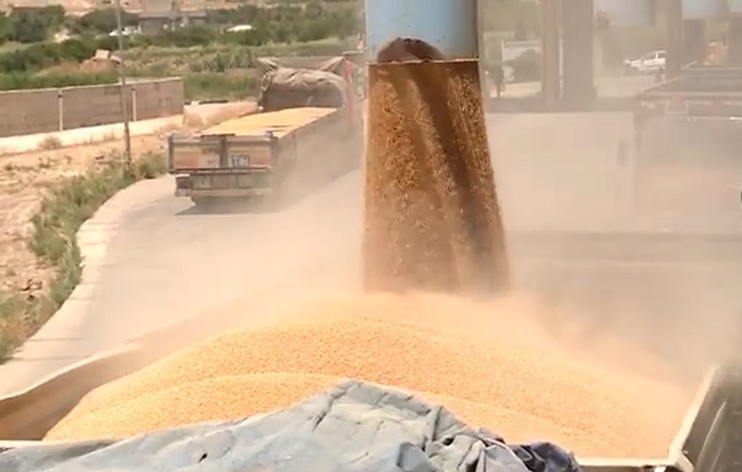 وصول كافة المُستحقات المالية لفلاحي كوردستان إلى الإقليم