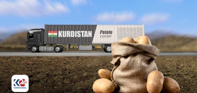 250 ton petateyên Kurdistanê bo Erebistana Siûdiyê tê hinardekirin