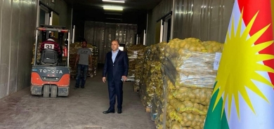 إقليم كوردستان يصدر أول شحنة بطاطا إلى السعودية