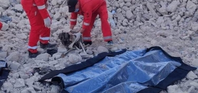 Li Mûsilê 11 term hatin dîtin