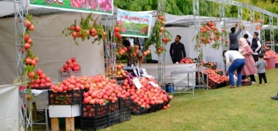 9emîn Festîvala Henar û Payîzê ya Helebce