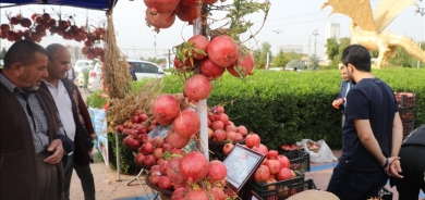 أربيل تحتضن مهرجاً للرمان