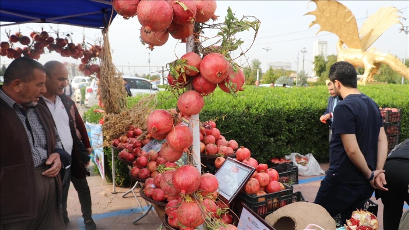أربيل تحتضن مهرجاً للرمان