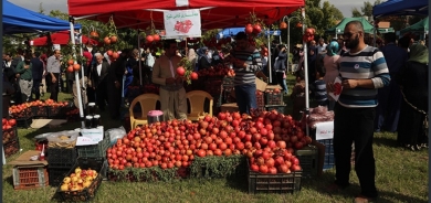 Erbil Hosts Pomegranate Exhibition to Promote Local Agricultural Products