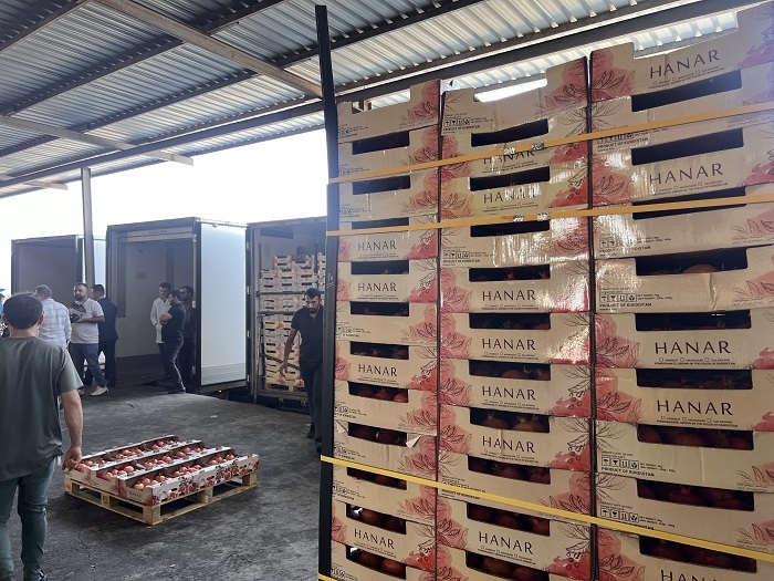 Zakho and Halabja Pomegranates Make Their Debut in French and UK Markets