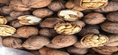 گوێزی خۆماڵی ناوزەردی كاكڵە نەرم