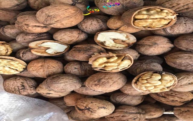 گوێزی خۆماڵی ناوزەردی كاكڵە نەرم