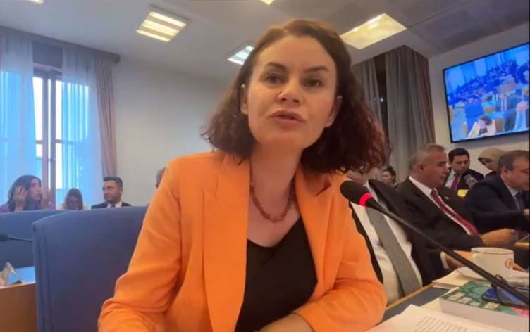 Parlamentera HEDEPê: Gola Wanê hişk dibe lê dewlet di betlaneyê de ye