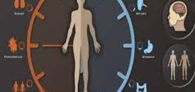 التحكم بساعة الجسم البيولوجية مفتاح النجاح في الحياة !