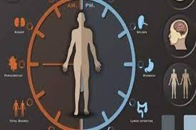 التحكم بساعة الجسم البيولوجية مفتاح النجاح في الحياة !
