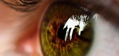 طبيبة: هذه الأطعمة تحسّن الرؤية !