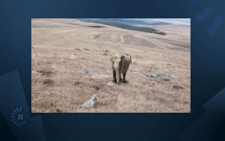 Li Erdexana Bakurê Kurdistanê alarma fîlan!