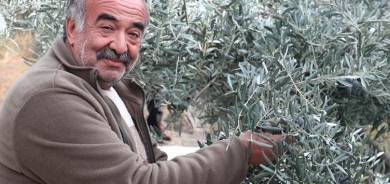 Li Erziroma bi sermaya xwe navdar zeytûn çandin û bû pêşeng