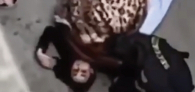 Asayîşa Hewlêrê: 2 ciwan ji ber keçek ji avahiyekî avêtine xwarê hatin girtin