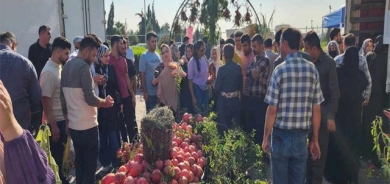 فیستیڤاڵی هەنار و بەروبوومی خۆماڵی لە هەولێر