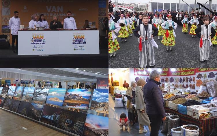 Ji bo yên ku nikarin biçin Wanê, Wan anîn Stenbolê