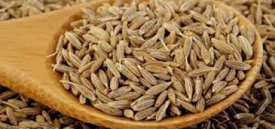 7 فوائد صحية مذهلة للكمّون