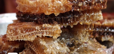 إقليم كوردستان ينتج 350 طناً من العسل خلال عام