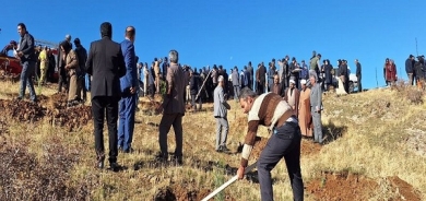 Li Rojhilatê Kurdistanê 12 miliyon dar têne çandin