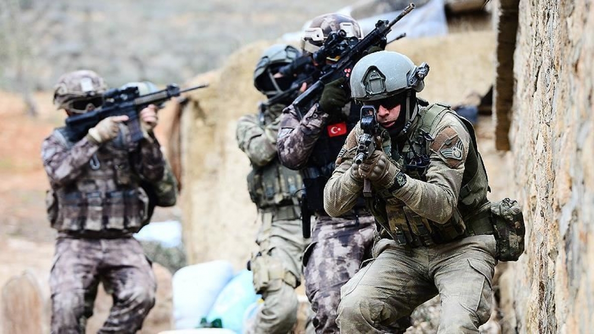 Turkish Security Forces Neutralize Two PKK Fighters in Mardin Province