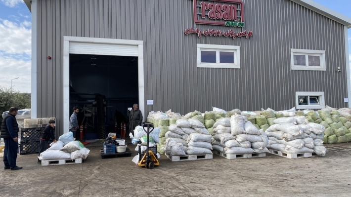 بدعم من حكومة كوردستان .. حلبجة تُصدر زيت الزيتون الى الخارج